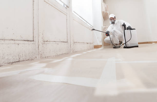 24/7 Emergency Black Mold Remediation experts in Verona, NJ